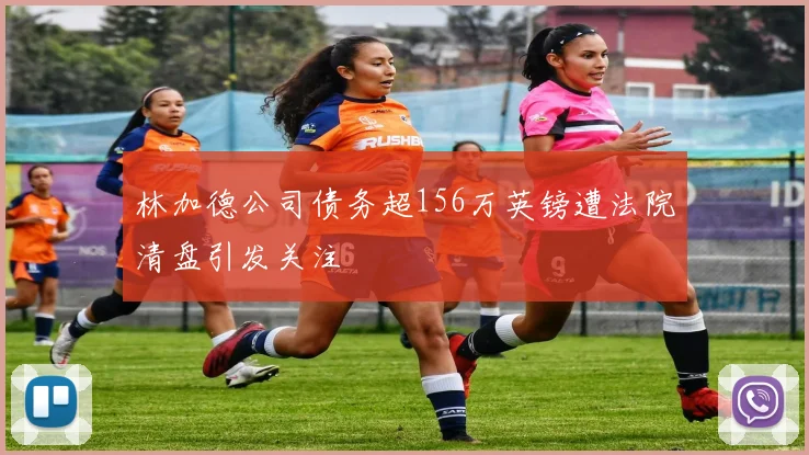 林加德公司债务超156万英镑遭法院清盘引发关注