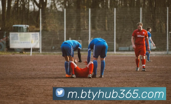 B体育平台生态图